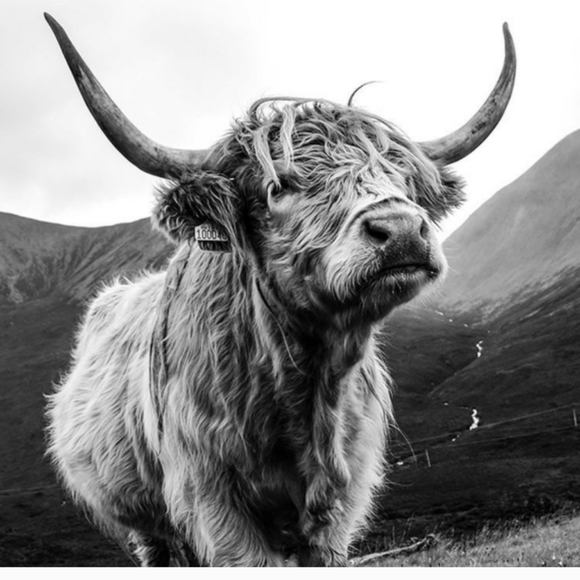 Meet your Poshers, - Picture 9 of 10